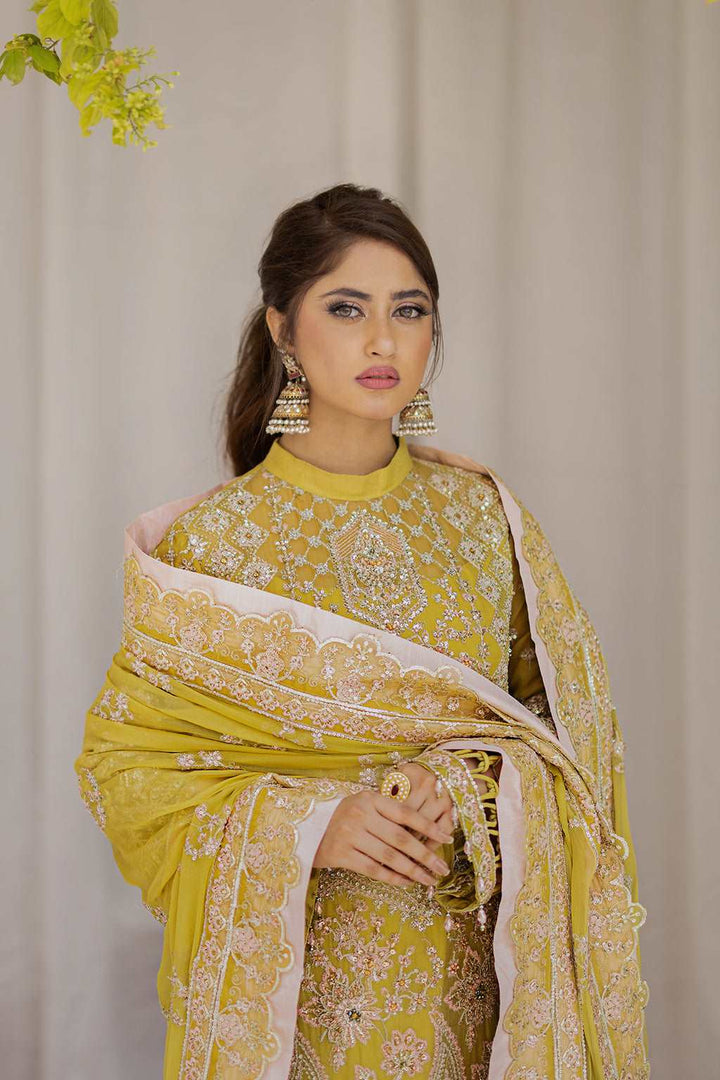 Ishaq e Atish By Emaan Adeel Unstitched 3 Piece Luxury Formals Collection'2024-AT-06 FARAH