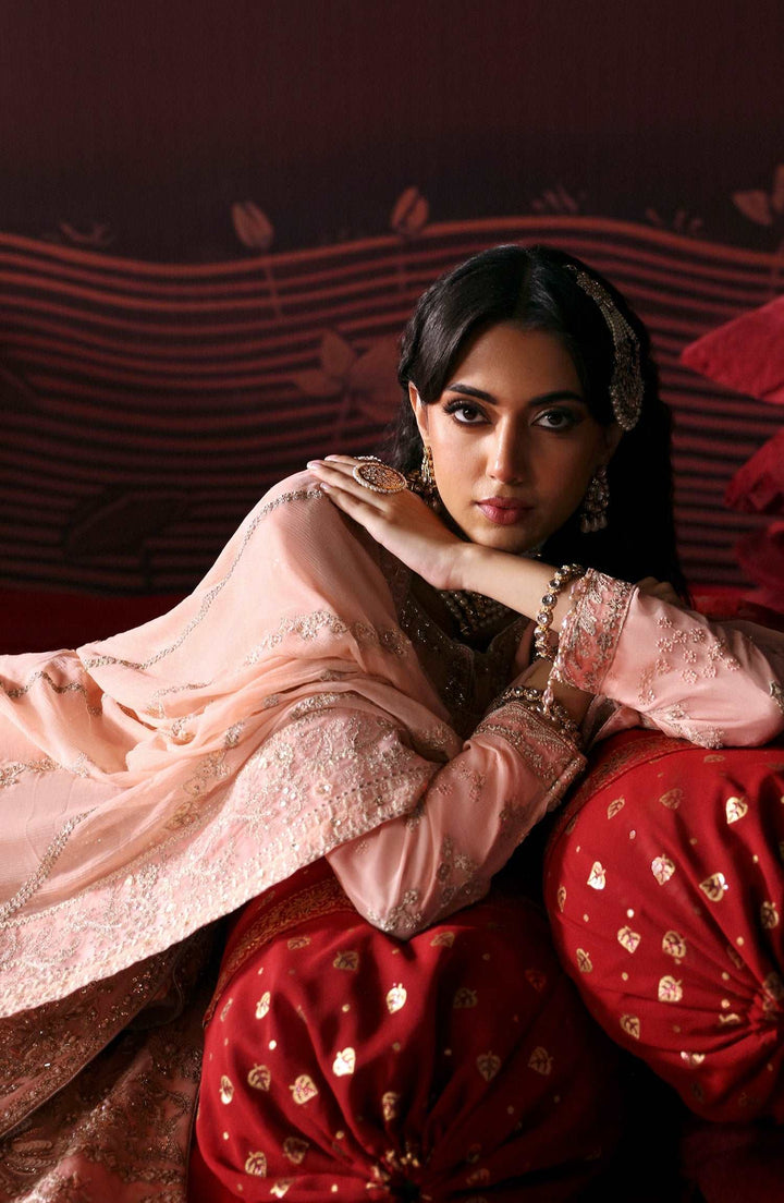 Devdas By Emaan Adeel Unstitched 3 Piece Formals Collection'2024-NISHA