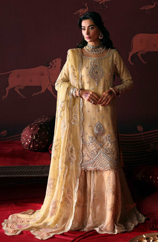 Devdas By Emaan Adeel-MEERA