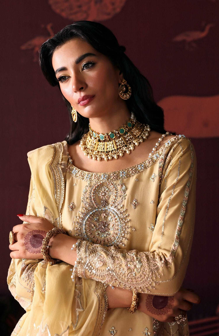 Devdas By Emaan Adeel-MEERA