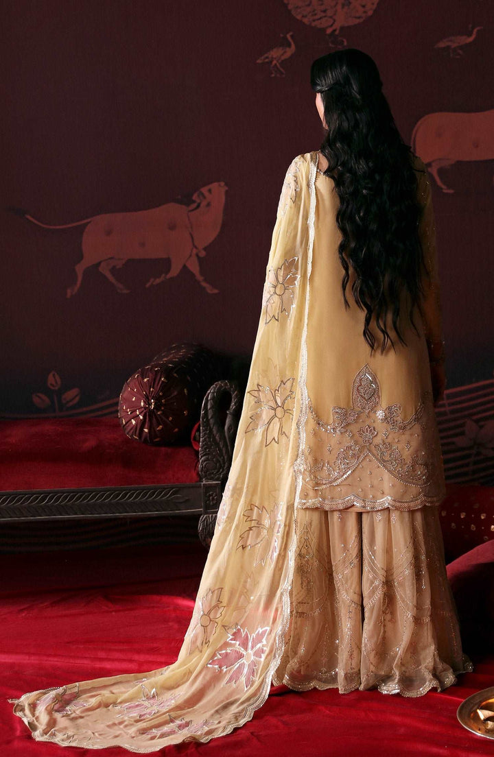 Devdas By Emaan Adeel-MEERA