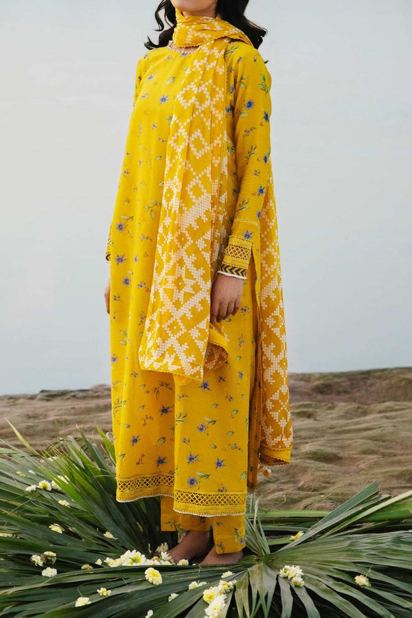 M Basics By Maria B Unstitched 3 Piece Emb Lawn Eid 2 Collection'2024-D-01-B