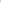 Home.Co - 1Pc Stainless Steel Tumbler (40 oz) - Hot Pink