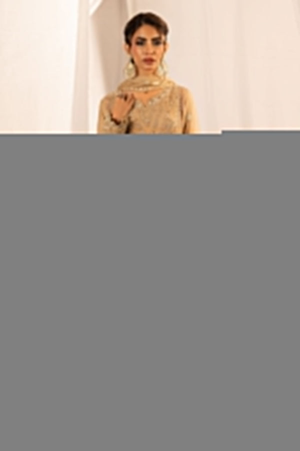 Dastan By Guzel Stitched 3 Piece Luxury Formals Collection'2024-D-01-Zareen