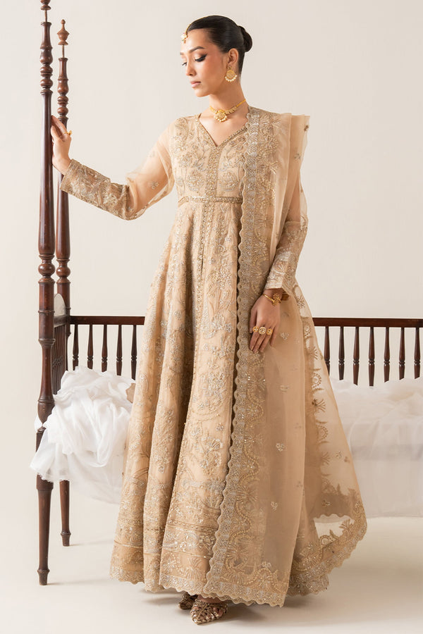 Zaib By Freesia Unstitched 3 Piece Chiffon Collection'2025-Fs-50132-Elmira - Skin