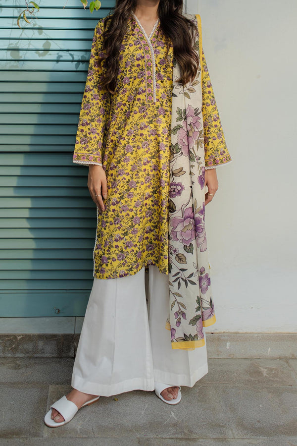 Zellbury Stitched 2 Piece Printed Lawn Vol-01 Collection'2024-WPS-690